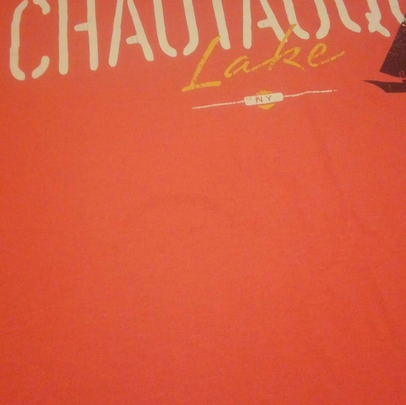 โต Chautauqua Lake ๐ฅ Institute Shirt ๐ New York NY ๐ USA ๐ฅ ๐ ๐ฐ ๐ฒ ๐ก - Picture 9 of 9